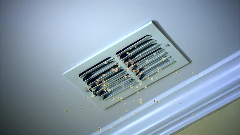 Best Professional Duct Cleaning Services  in Lompoc, CA