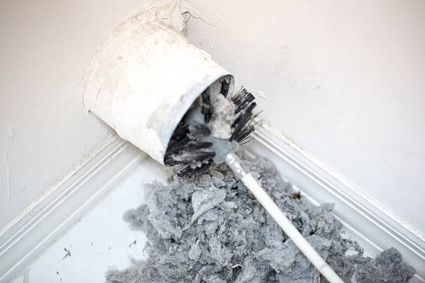 Air Duct Mold Removal in CA